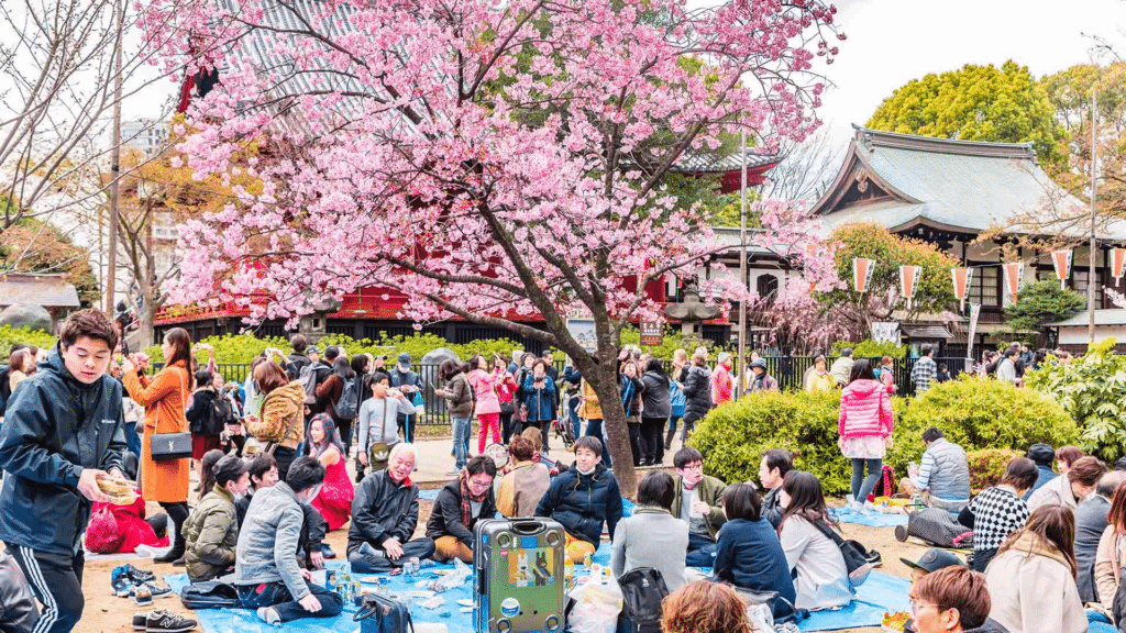 Pesta Dan Jamuan Makan Musim Sakura