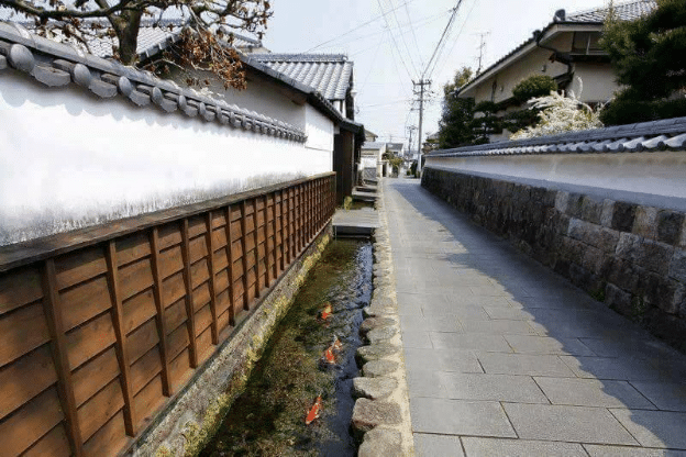 Air longkang di Jepun "Bersih" Betul ke sampai boleh bela ikan koi?